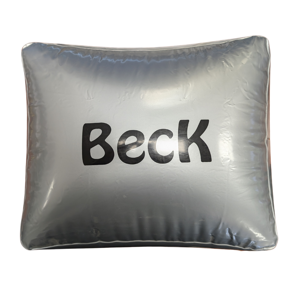 [BB-99] Fris! Beck pillow