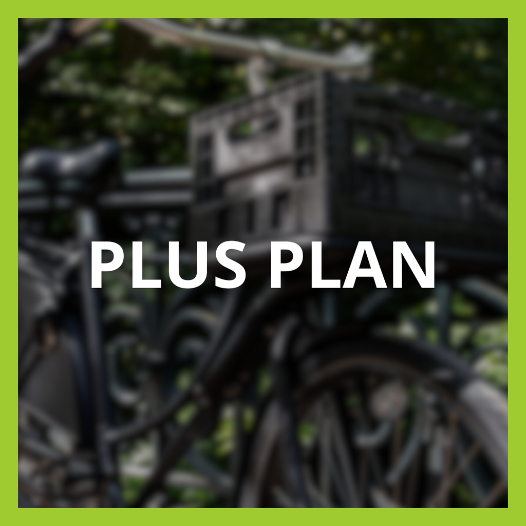 Plus plan - Social media